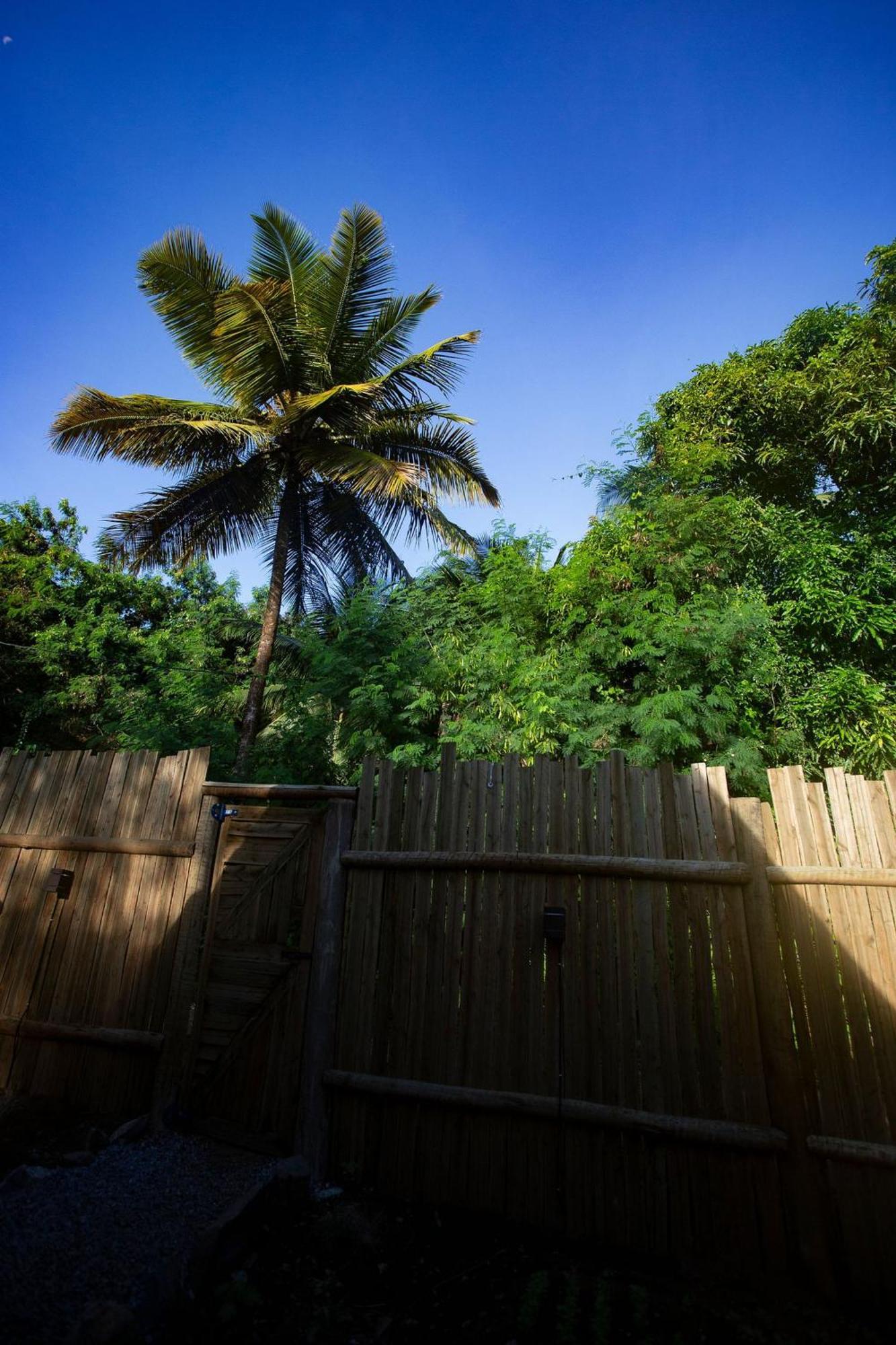 Cabana Mulungu - Viagem Inspirada Fernando de Noronha Eksteriør bilde